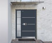 New models of entry doors
